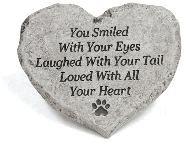 You smiled with your eyes, laughed with your tail, and loved with all your heart